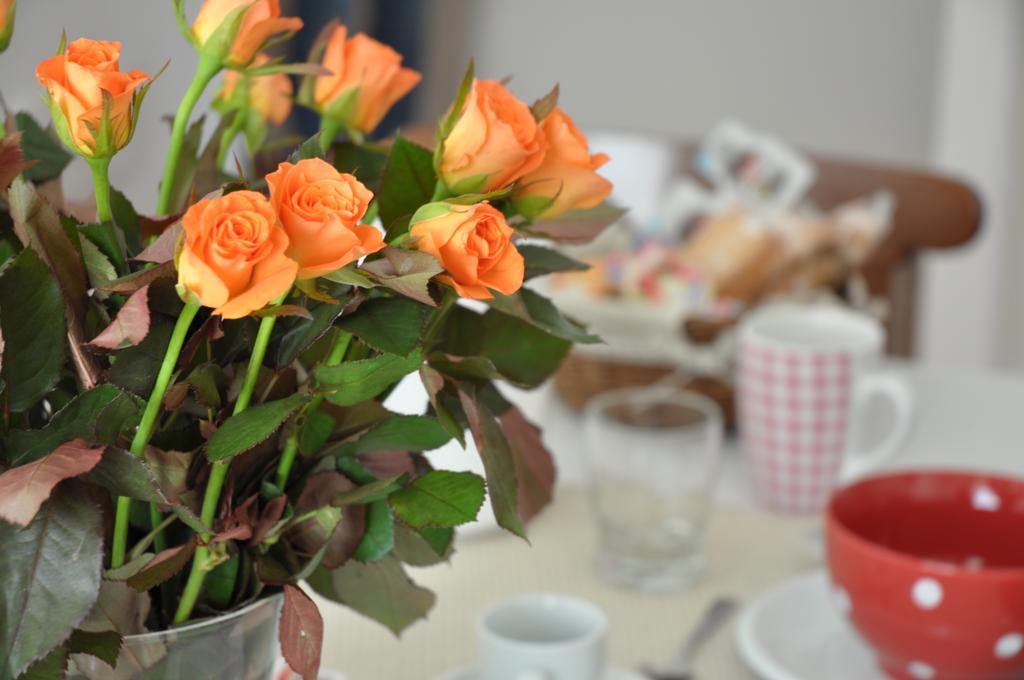 Le Stanze Di Rebecca Bed and Breakfast Ρώμη Εξωτερικό φωτογραφία